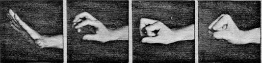 fist