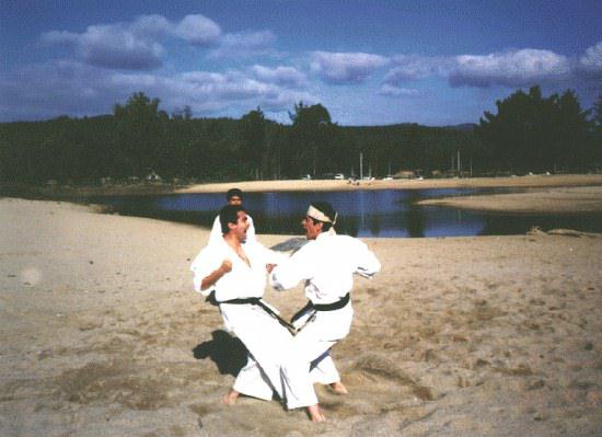 Jiyu Kumite